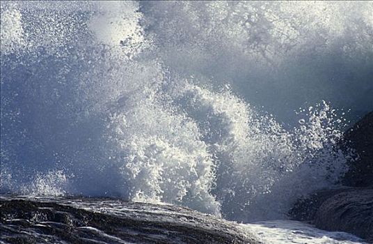 波浪,大西洋海岸,开普省,南非