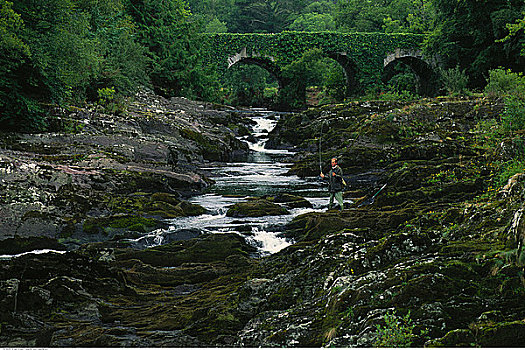钓鱼,男人,石头,闪光,河,爱尔兰