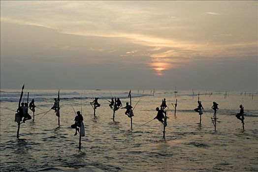 捕鱼者,日落,捕鱼,浅水,印度洋,斯里兰卡,南亚,亚洲