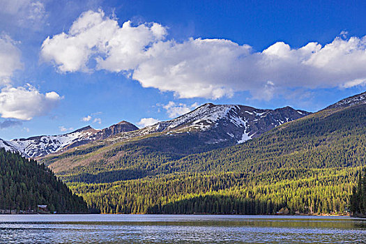 湖,国家森林,蒙大拿,美国