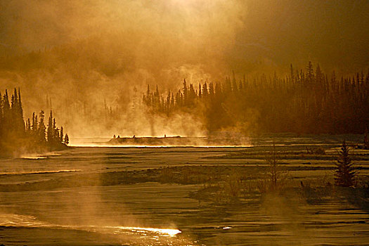 薄雾,黎明,阿萨巴斯卡河,碧玉国家公园,艾伯塔省,加拿大
