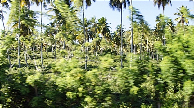 多米尼加,风景