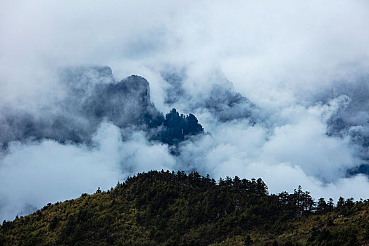 神农架,神农顶,风景,景点,旅游,高山,瀑布,河流,神秘,树木,植被,石头,鄂西,云海,峡谷,壮观