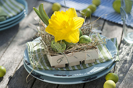 复活节餐桌,装饰,水仙花,平台