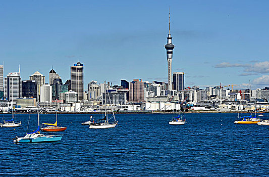 风景,天际线,奥克兰,摩天塔,新西兰