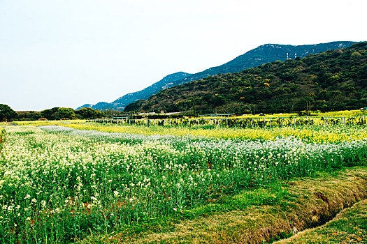 舟山大青山