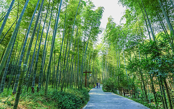 溧阳南山竹海