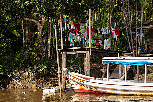 南美,巴西,亚马逊河,风景,洗衣服,悬挂,码头