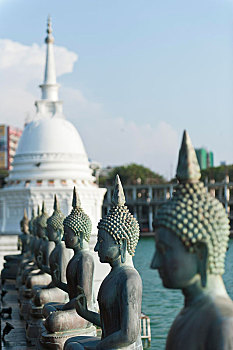 佛像,背影,白色,庙宇,贝拉,湖,科伦坡,斯里兰卡,亚洲
