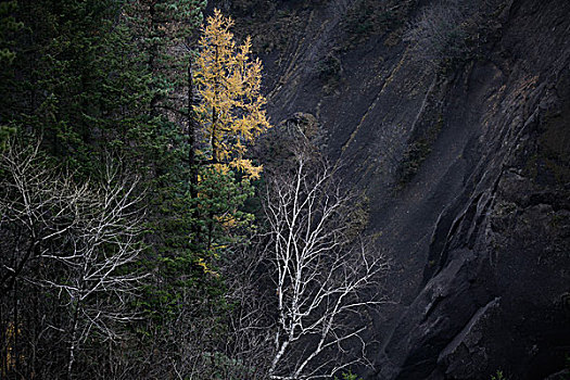 长白山