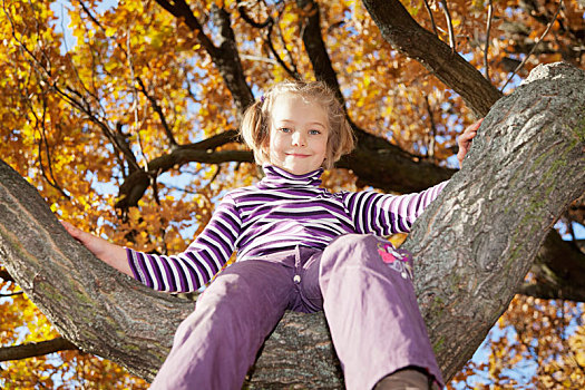 女孩,坐,树,秋天