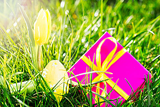 粉色,礼物,复活节彩蛋,黄色,郁金香,草,阳光