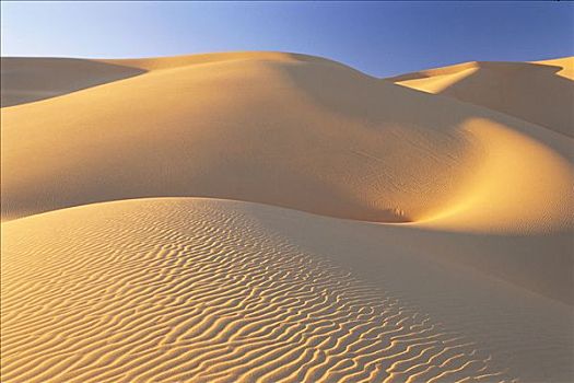 沙丘,东部大沙漠,撒哈拉沙漠,阿尔及利亚