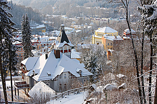 风景,冬天,捷克共和国,欧洲