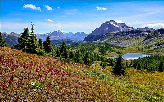 风景,山,班芙国家公园,加拿大