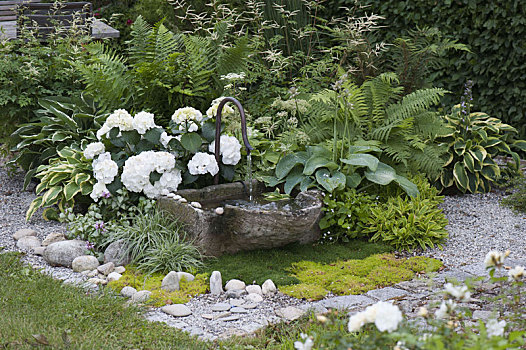 石头,槽,喷泉,八仙花,玉簪属植物