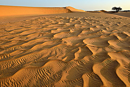沙漠,阿曼,阿拉伯,亚洲