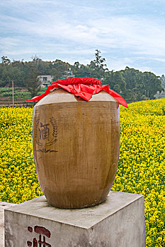 重庆永川区五间镇油菜花海边的酒坛