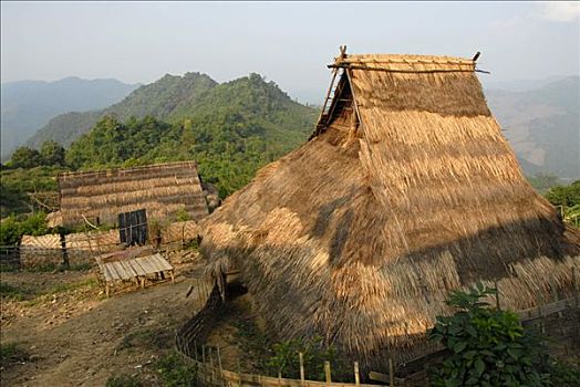 稻草,屋顶,竹子,小屋,种族,阿卡族,人,传统,山村,禁止,省,老挝,亚洲