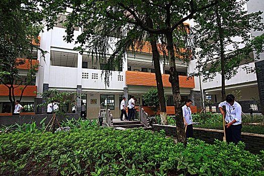 教学楼,建筑,楼房,绿化