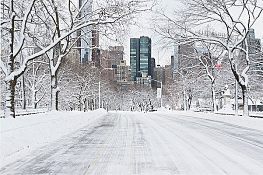 道路,雪,城市公园