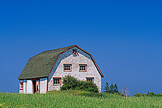 谷仓,靠近,爱德华王子岛,加拿大