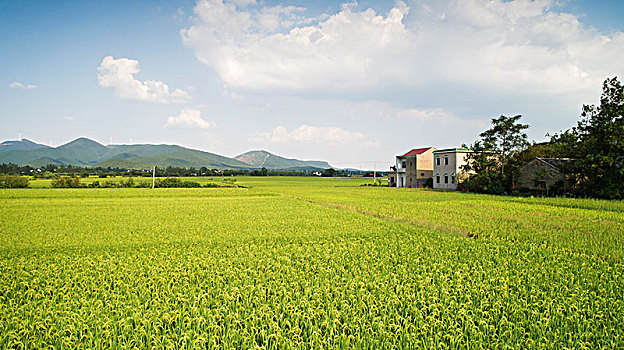 航拍美丽乡村秋季田园风光