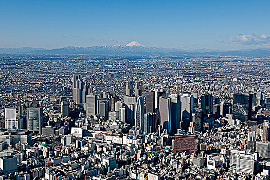 山,富士山,新宿,区域