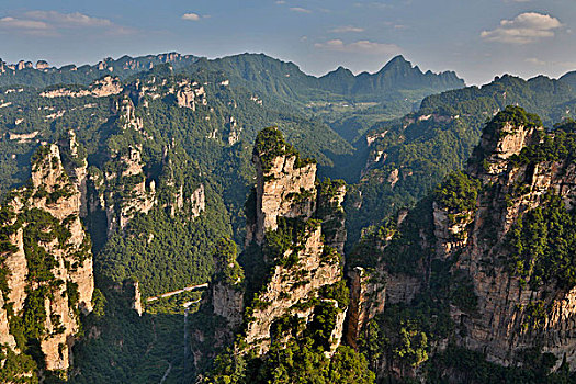 山,五陵塬,地区,风景,许多,顶峰,展示