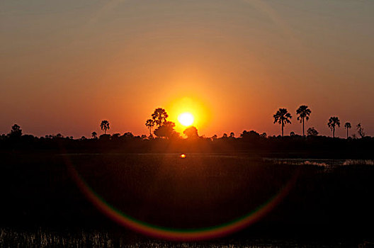 日出,奥卡万戈三角洲,博茨瓦纳