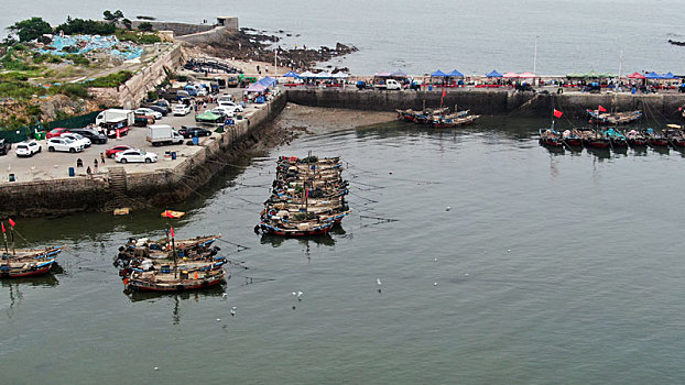 渔码头成了网红打卡地,游客赶海拾贝采购海鲜就像赶大集