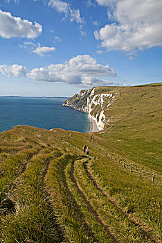 两个,向上,草,山,靠近,粉笔,悬崖,侏罗纪海岸,白色,多西特,英格兰,英国,欧洲