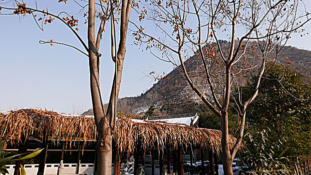 终南山古观音禅寺