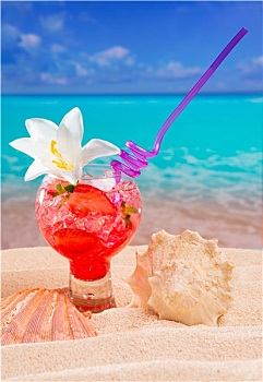 海滩,热带,红色,鸡尾酒,加勒比,白沙,花