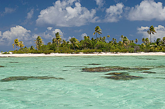 珊瑚,环礁,土阿莫土群岛,法属玻利尼西亚,太平洋