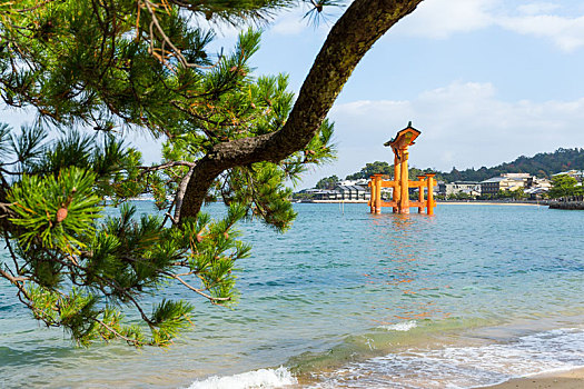 漂浮,鸟居,广岛,日本