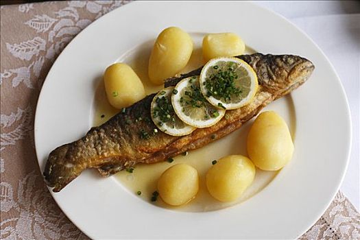 鲑鱼,煮土豆,柠檬片,黑森州,德国,欧洲