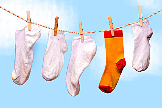 一个,彩色,袜子,悬挂,白色,晾衣绳