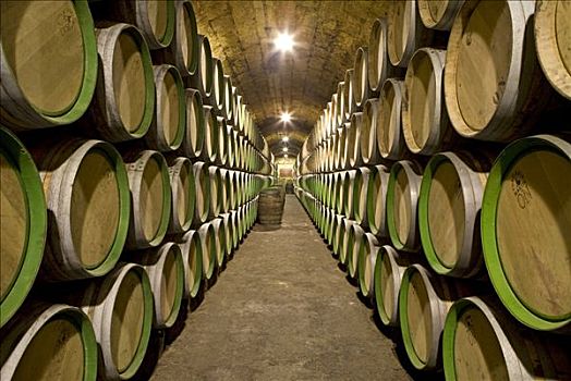 葡萄酒桶,酒窖,西班牙