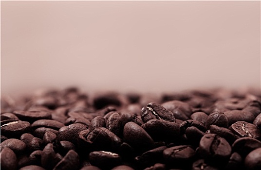 咖啡豆,深褐色