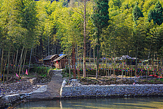 江南大峡谷景区,竹林,绿水,桃花,小草房,小木屋,水汀步道,倒影