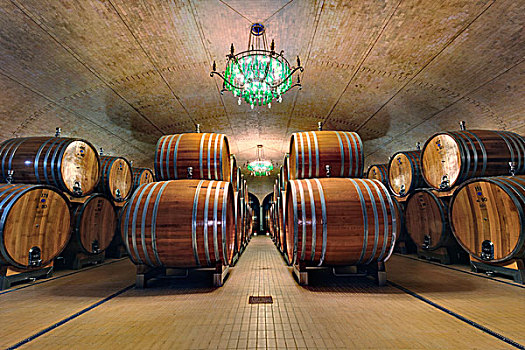 葡萄酒桶,房间,城堡,托斯卡纳,意大利