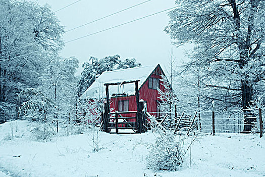 雪景,木房子