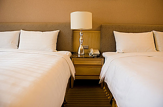 豪华酒店,房间,两个,床