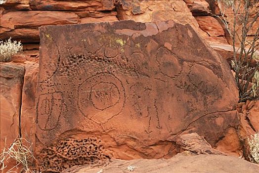 历史,土著,刮蹭,绘画,靠近,爱丽丝泉,北领地州,澳大利亚