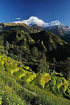 安娜普纳,南,风景,尼泊尔