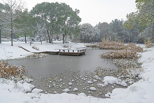 武汉东湖园林雪景