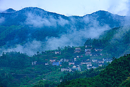 山,树林,雾气,云海,氤氲,绿色,树木,乡村