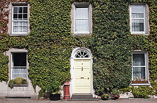 乔治时期风格,房子,街道,蒂帕雷里,爱尔兰