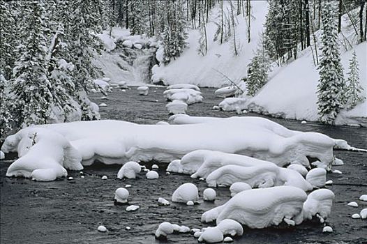 积雪,河,黄石国家公园,怀俄明